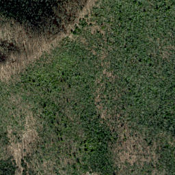 Satellite imagery of Greene Mountain, US