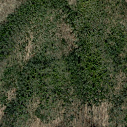 Satellite imagery of Baxter Cliff, US