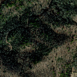 Satellite imagery of Locust Ridge, US