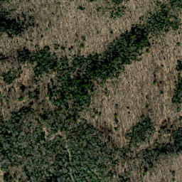 Satellite imagery of Locust Ridge, US