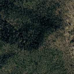 Satellite imagery of Big Ridge, US