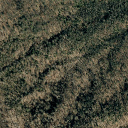 Satellite imagery of Big Ridge, US