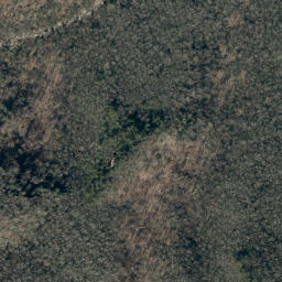 Satellite imagery of Big Lost Cove Cliffs, US
