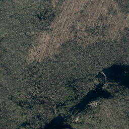 Satellite imagery of Big Lost Cove Cliffs, US