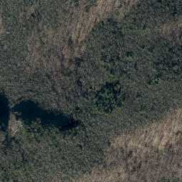 Satellite imagery of Big Lost Cove Cliffs, US