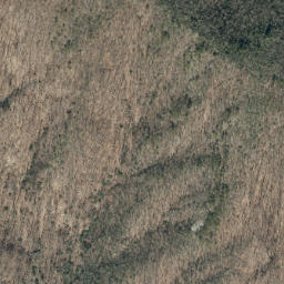 Satellite imagery of Timber Ridge, US