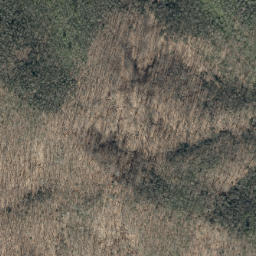 Satellite imagery of Timber Ridge, US