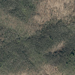 Satellite imagery of Timber Ridge, US