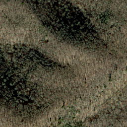 Satellite imagery of Seng Ridge, US