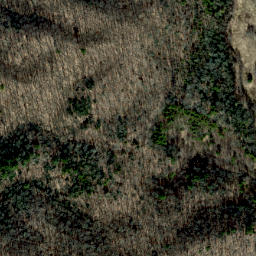 Satellite imagery of Locust Ridge, US