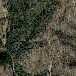 Satellite imagery of Locust Ridge, US