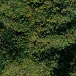 Satellite imagery of Coffee Ridge, US