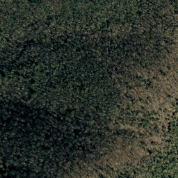 Satellite imagery of Big Ridge, US