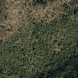 Satellite imagery of Big Ridge, US