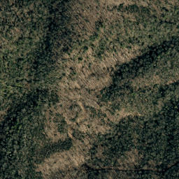 Satellite imagery of Big Ridge, US