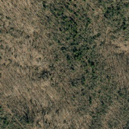 Satellite imagery of Shields Ridge, US