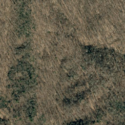Satellite imagery of Shields Ridge, US