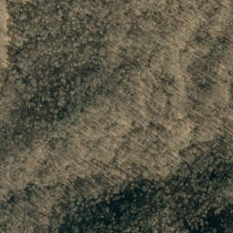 Satellite imagery of Bee Ridge, US