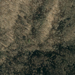 Satellite imagery of Bee Ridge, US