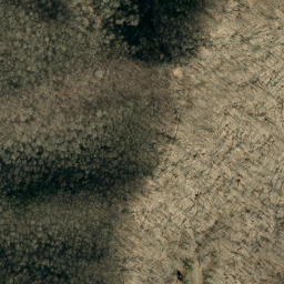 Satellite imagery of Bee Ridge, US