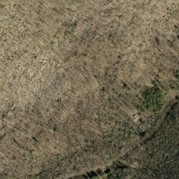 Satellite imagery of Wolf Ridge, US