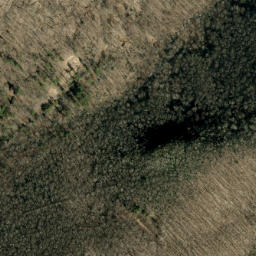 Satellite imagery of Wolf Ridge, US