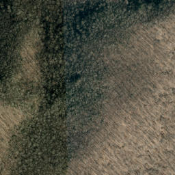Satellite imagery of Wolf Ridge, US