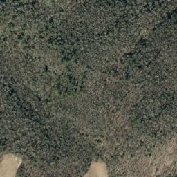 Satellite imagery of Big Lost Cove Ridge, US
