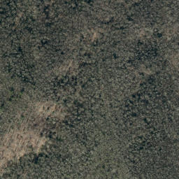 Satellite imagery of Big Lost Cove Ridge, US