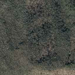 Satellite imagery of Big Lost Cove Ridge, US