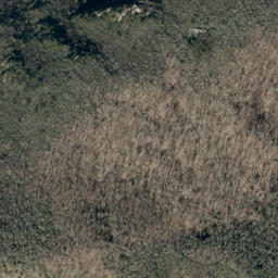 Satellite imagery of Big Lost Cove Cliffs, US