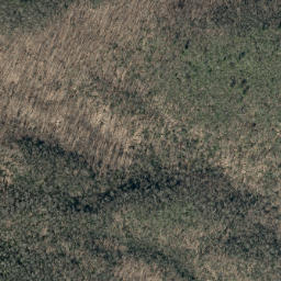 Satellite imagery of Big Lost Cove Cliffs, US