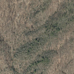 Satellite imagery of Timber Ridge, US