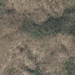 Satellite imagery of Timber Ridge, US