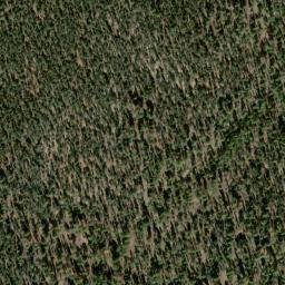 Satellite imagery of 6837 CANYON — NGS DO5693 — Coconino County, US, US