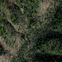 Satellite imagery of Bearpen Ridge, US