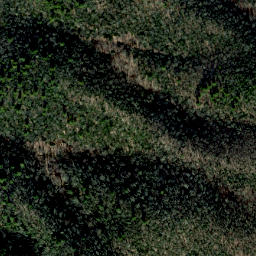 Satellite imagery of Bearpen Ridge, US