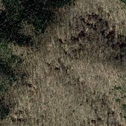 Satellite imagery of Bearpen Ridge, US