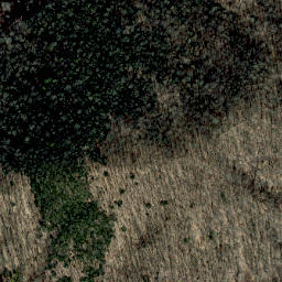 Satellite imagery of Locust Ridge, US