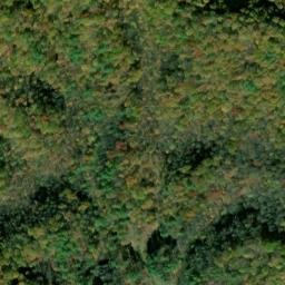 Satellite imagery of Coffee Ridge, US