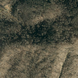 Satellite imagery of Bee Ridge, US