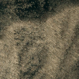 Satellite imagery of Bee Ridge, US