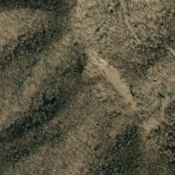 Satellite imagery of Bee Ridge, US