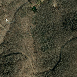 Satellite imagery of Wolf Ridge, US