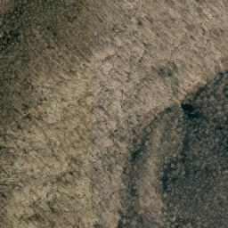Satellite imagery of Wolf Ridge, US