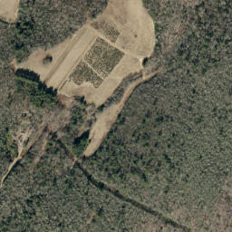 Satellite imagery of Big Lost Cove Ridge, US