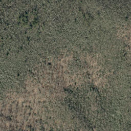 Satellite imagery of Big Lost Cove Ridge, US