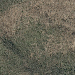 Satellite imagery of Big Lost Cove Ridge, US