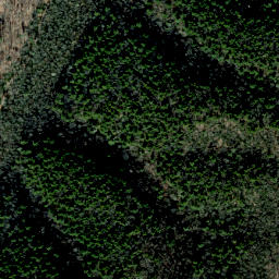 Satellite imagery of Bearpen Ridge, US