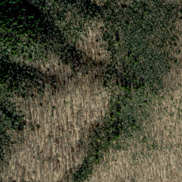 Satellite imagery of Bearpen Ridge, US
